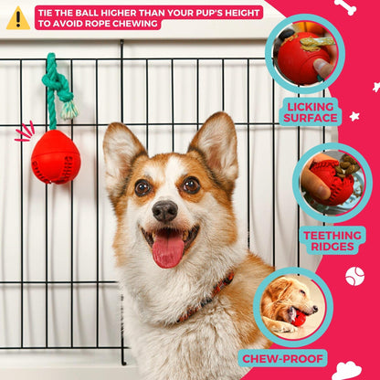 Fossa Interactive Dog Toys, Crate Training Aids for Puppies, Puzzle Treat Dispenser with Rope, Multifunctional Dog Toys - for Reduce Dog Boredom and Anxiety, Dog Teeth Cleaning and Chew Toy