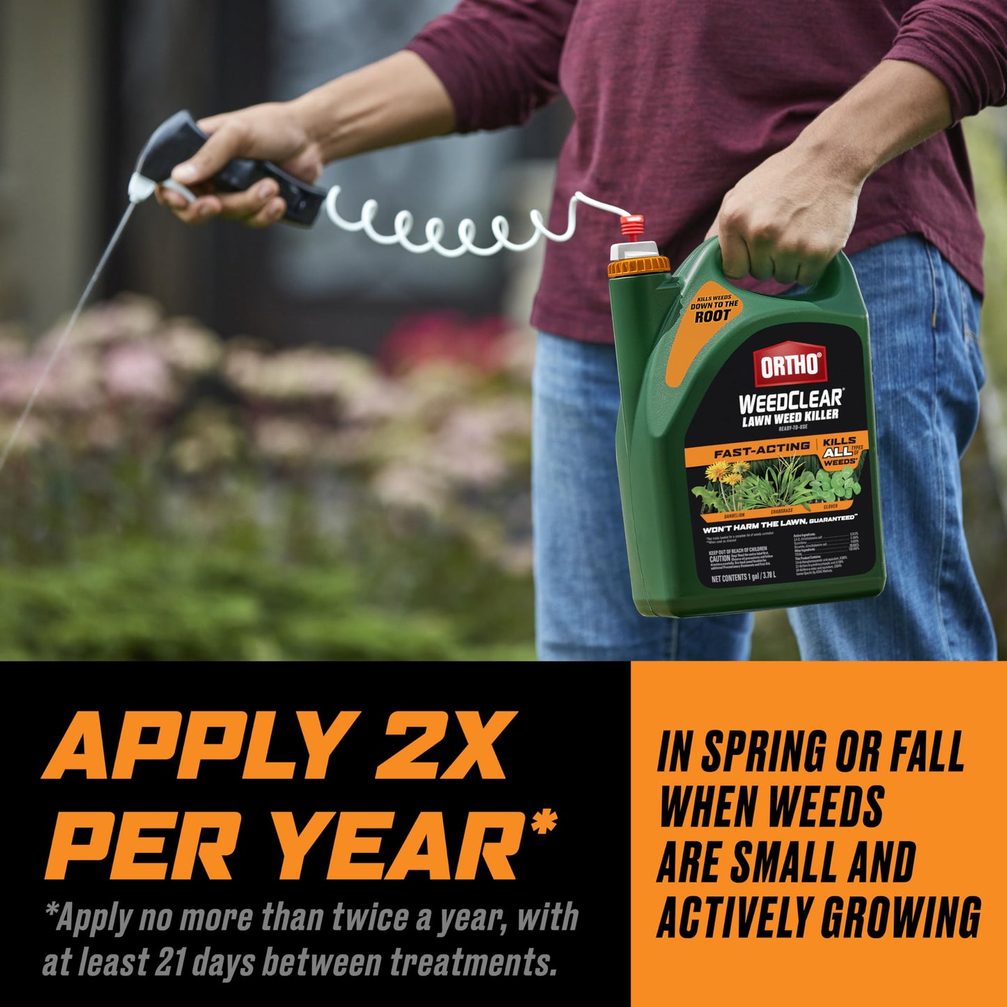 Ortho WeedClear Lawn Weed Killer Ready-To-Use with Trigger Sprayer, Kills Dandelion, Crabgrass, and Clover, 1 gal.