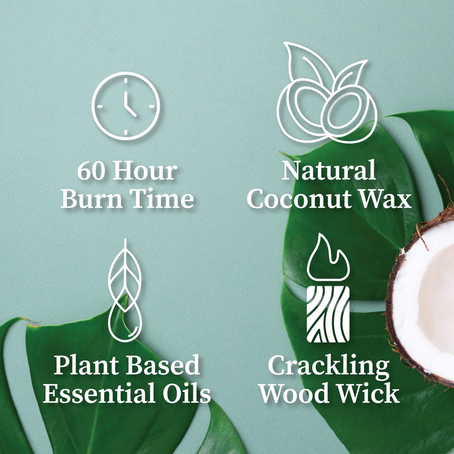 Hemlock Park Crackling Wood Wick Candle Handcrafted with Natural Coconut Wax (Standard 8 oz, Palo Santo)