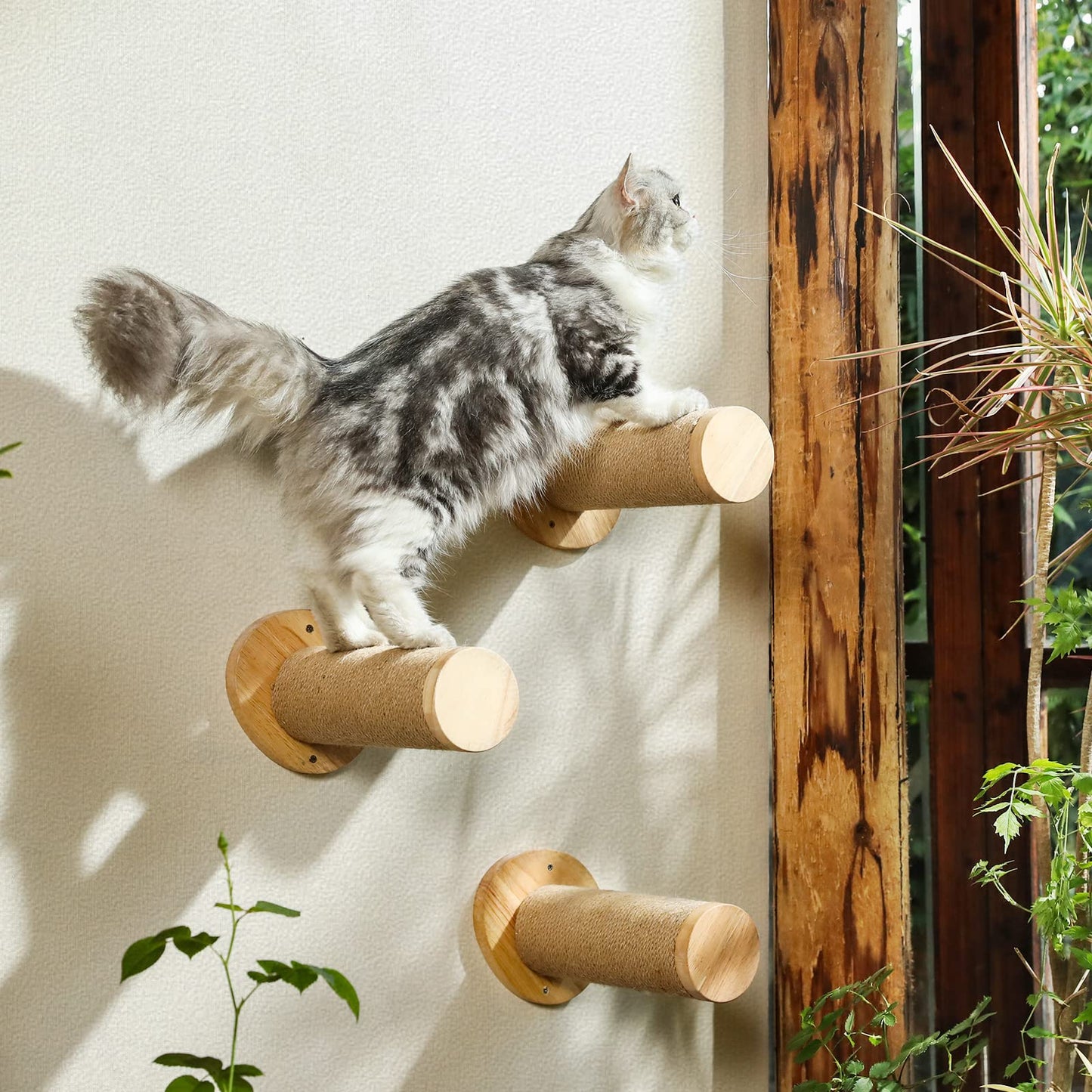 FUKUMARU Cat Wall Furniture, Cat Climbing Step 30cm Wall Mounted with Jute Scratches,Natural Rubber Wood Material, for Most Medium and Large Cats, Pack of 2