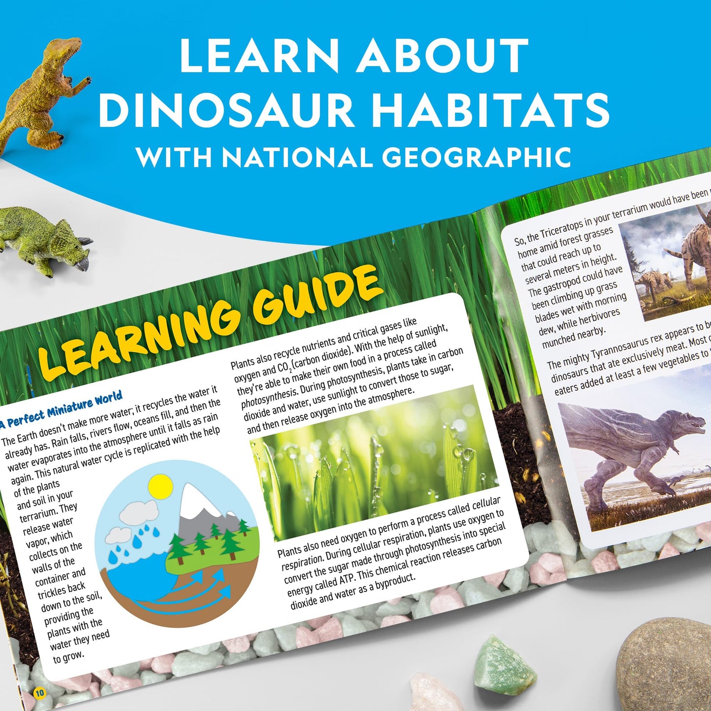 NATIONAL GEOGRAPHIC Light Up Terrarium Kit for Kids - Build a Dinosaur Habitat with Real Plants & Gemstones, Science Kit Gift for Boys & Girls, Dinosaur Toys for Kids (Amazon Exclusive)