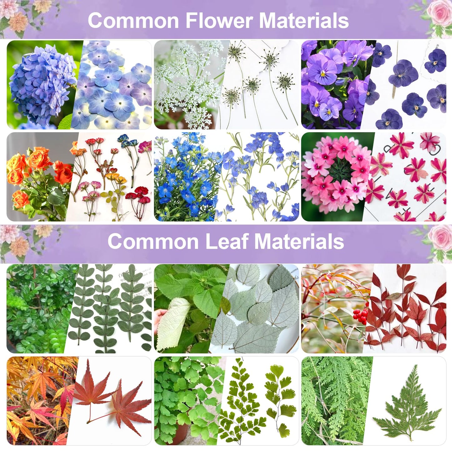 Suziko Large Flower Press Kit for Adults& Kids Flower &Plant Preservation Kit Measures 10.8" x 6.9" Arts and Crafts for Adults Leaf Press &- Great Gift for Lovers