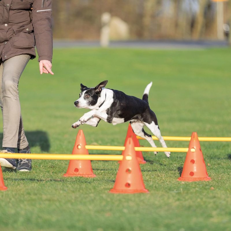 Dog Agility Hurdle Cone Set - Height Adjustable Jump Training Equipment for All Skill Levels | 6 Cones, 3 Rods