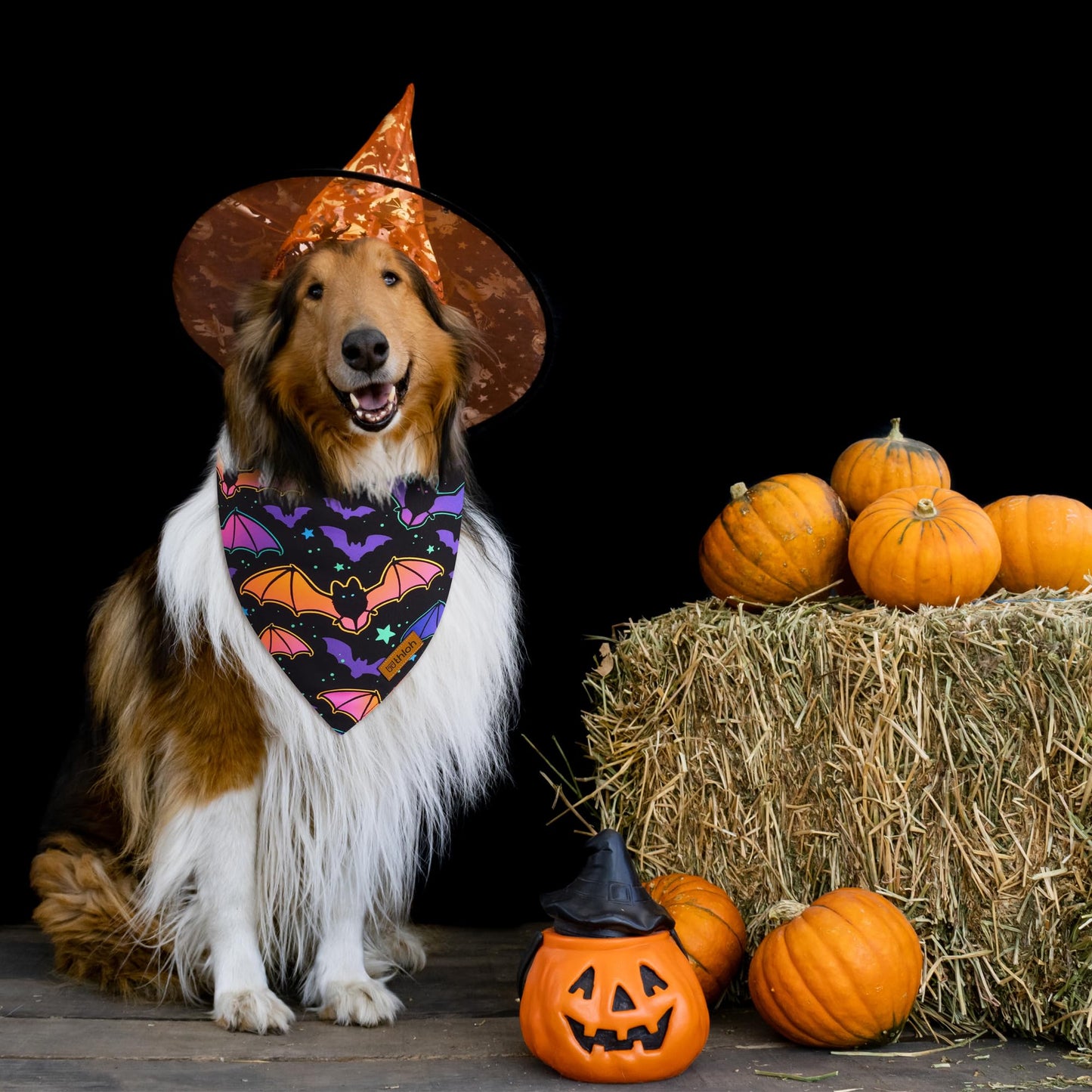 THLOH Halloween Dog Bandanas - 2 Pack Reversible Pumpkin and Bat Pet Scarf for Boys and Girls | Fall Dog Bibs | Premium Durable Fabric | Holiday Dog Bandana for Medium and Large Dogs (Large)