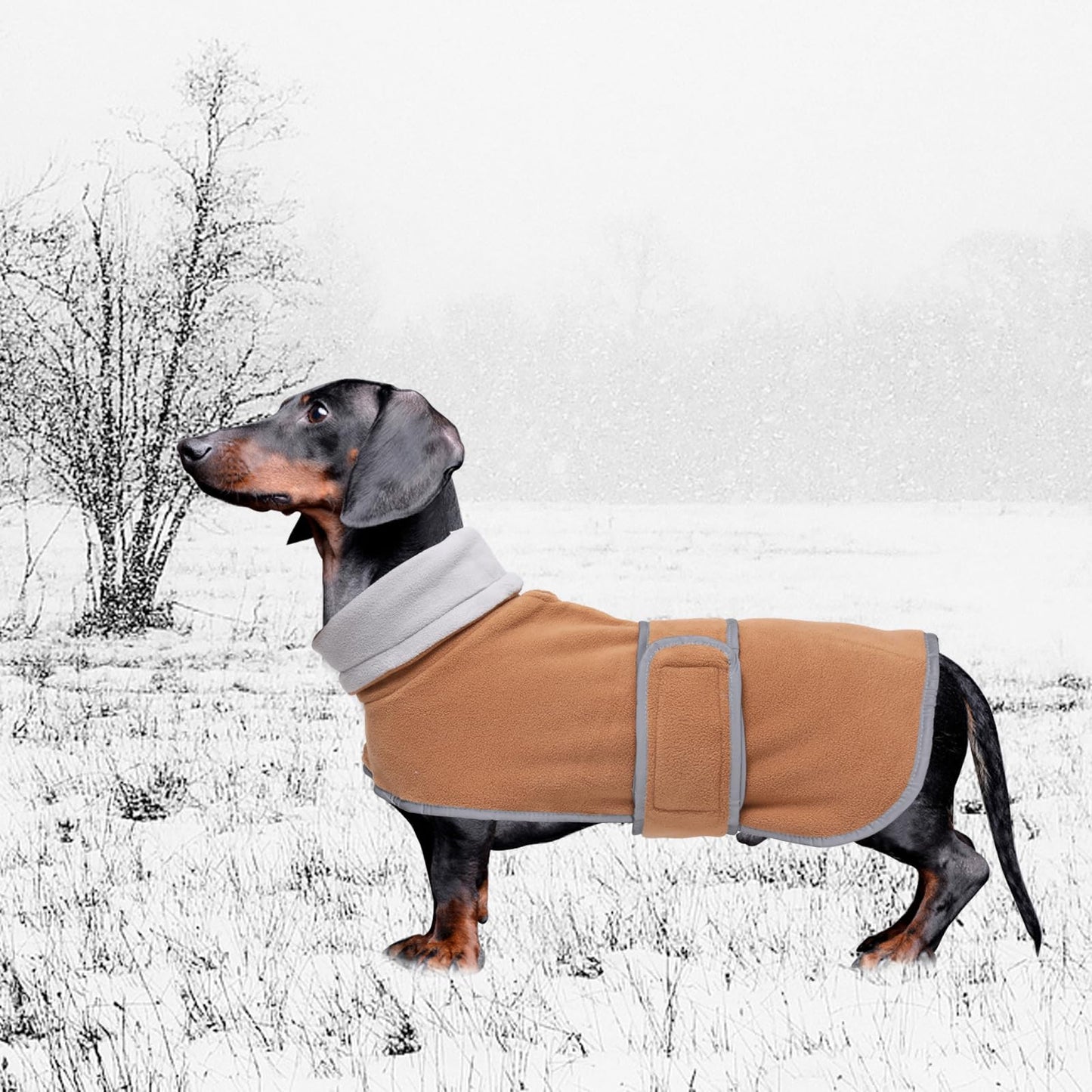 Geyecete dachshund coat with Warm Thermal Quilted, Dog miniature dachshund coats with Warm Fleece Lining,Outdoor with Adjustable Bands-Brown-S
