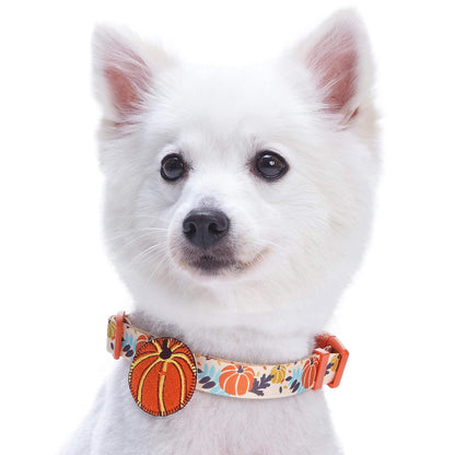 Blueberry Pet 8 Patterns Thanksgiving Fall Harvest Festival Pumpkin Designer Adjustable Dog Collar with Decoration, Large, Neck 18"-26"