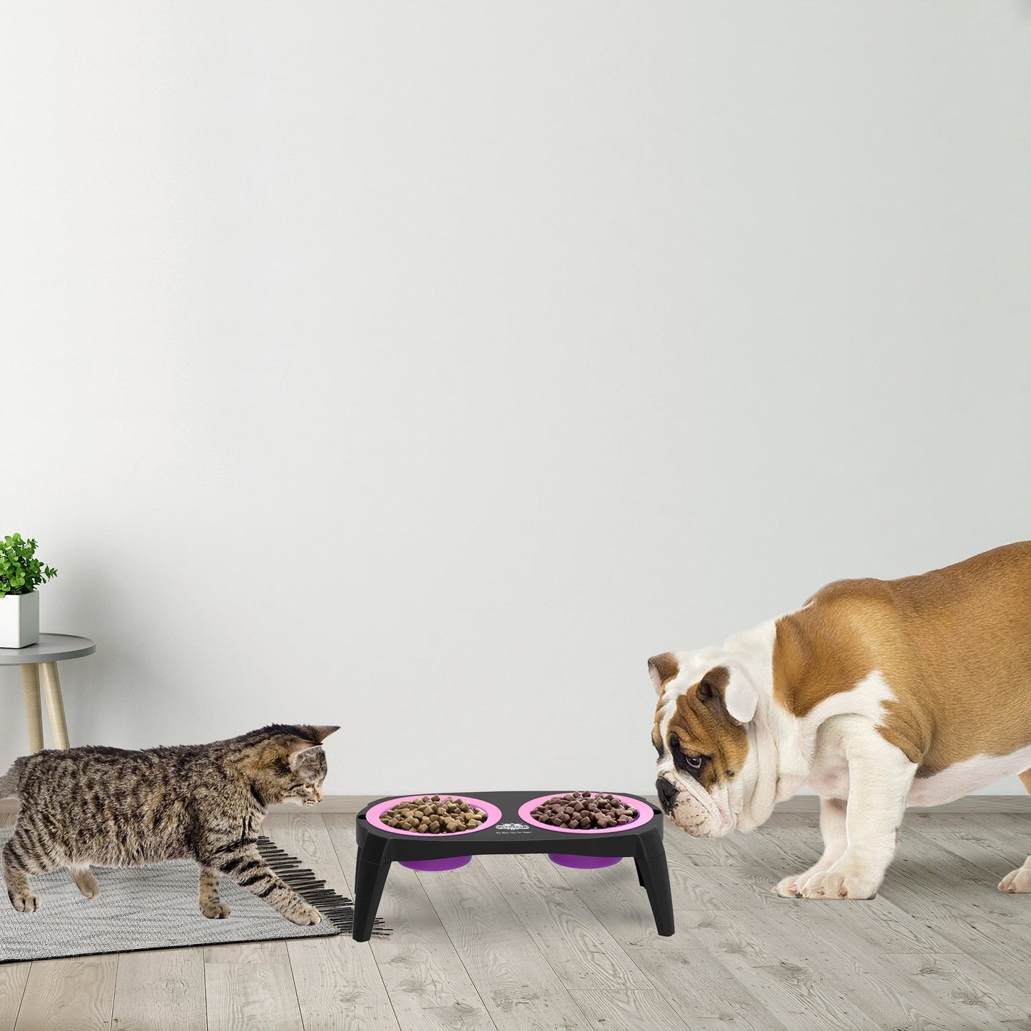 Elevated Cat and Dog Food Bowls with Non-Slip Stand - Removable and Collapsible Silicone Feeder for Food and Water - 16-Ounces Each by PETMAKER (Pink)