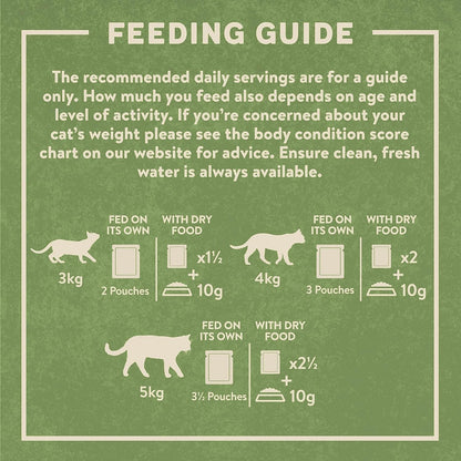 Harringtons Complete Wet Pouch Grain Free Hypoallergenic Adult Cat Food Mixed in Jelly Pack 40x85g - Beef, Chicken, Salmon & Tuna- Making Mealtimes Meatier