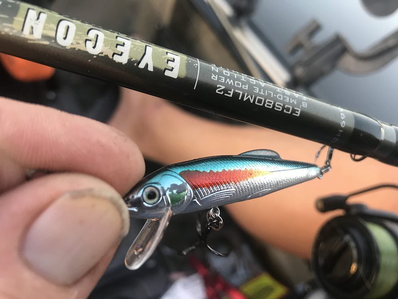 St. Croix Rods Eyecon Spinning Rod, 7'6"(EYS76MLXF)