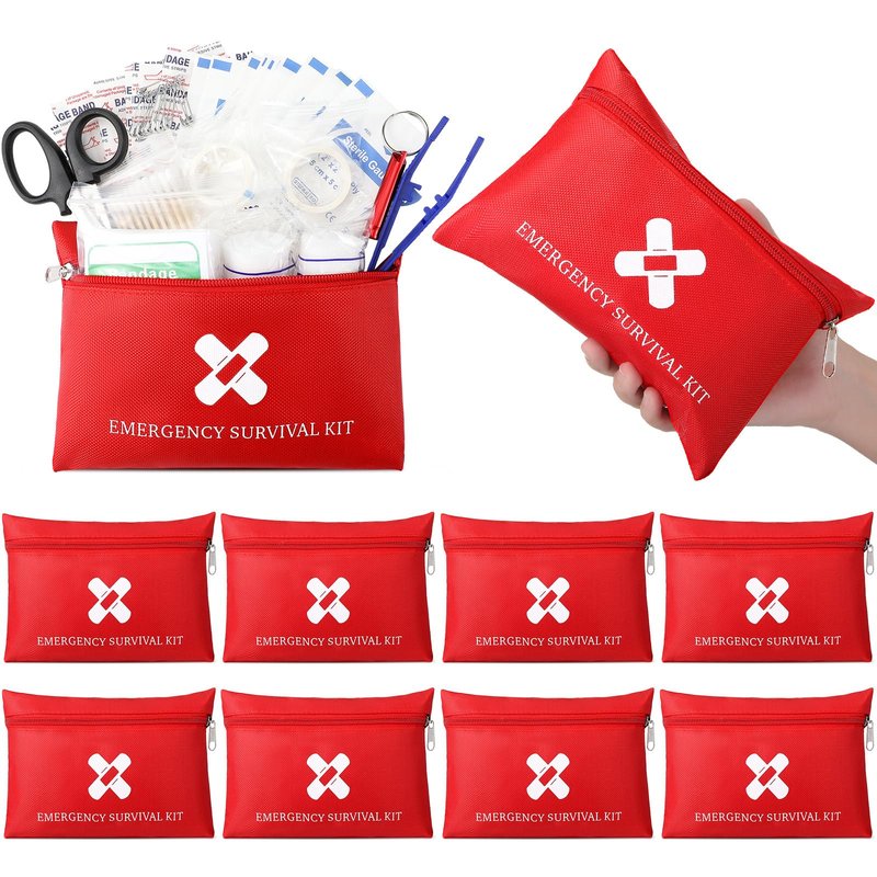 Geiserailie 10 Pack Mini First Aid Kit for Home Car Travel Camp Outdoor Back to School Sports Hiking Emergency Small First Aid Kit Travel Size Bulk Self Care Package 10 Individual Bag of 91 Items Each