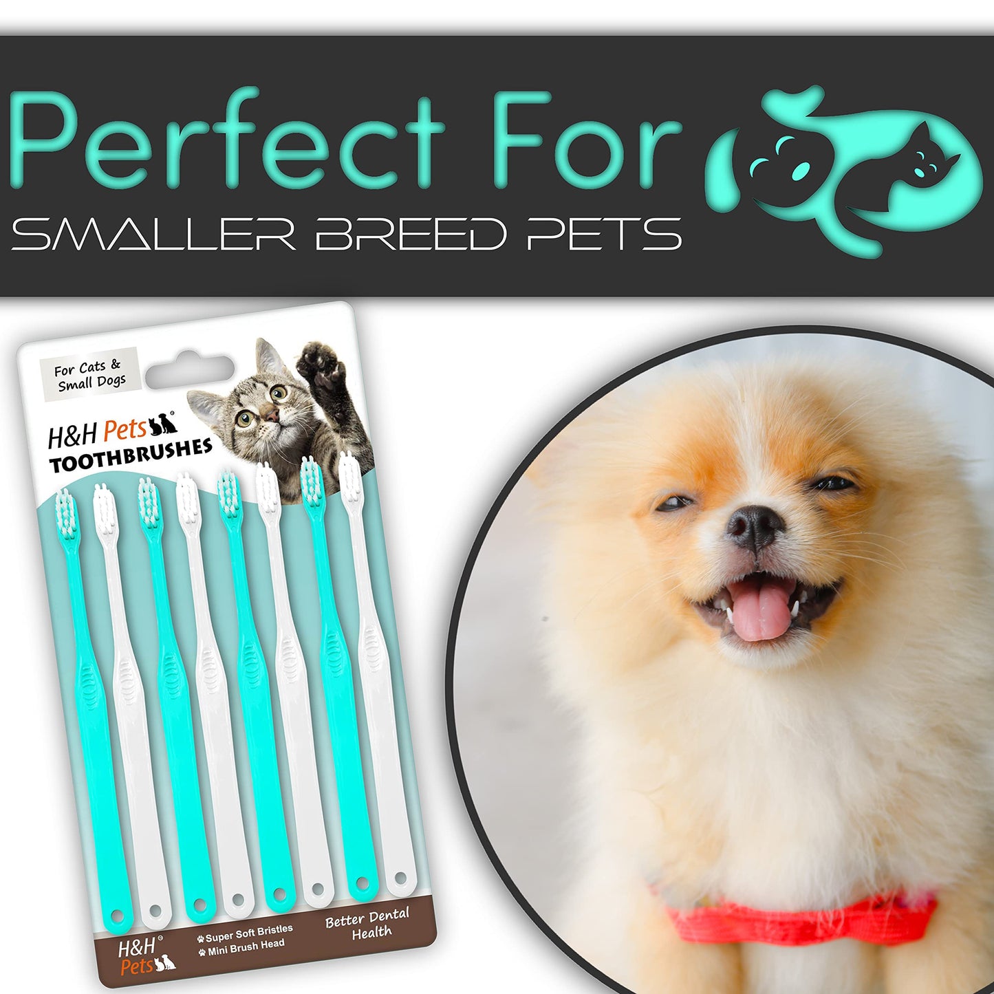 H&H Pets Toothbrush for Small Dogs & Cats - Soft and Gentle Toothbrush Designed for Cats, Puppies, and XS Breed Dogs Like Teacups, Chihuahuas, Yorkshire, and Poodle, 8 Count Pack