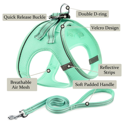 Dog Harness with Leash Set, No Pull Adjustable Reflective Step-in Puppy Pet Vest Harnesses for Small Medium Large Dogs and Cats,Green XS