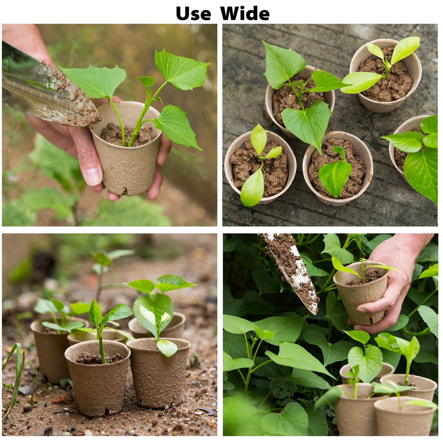 Baxrou 120 Pack 3.15 Inch Peat Pots Plant Starters for Seedling, Herb Seed Starter Pots Kits, Garden Germination Nursery Pot wit 30 Plant Labels, 2 Transplant Tools.