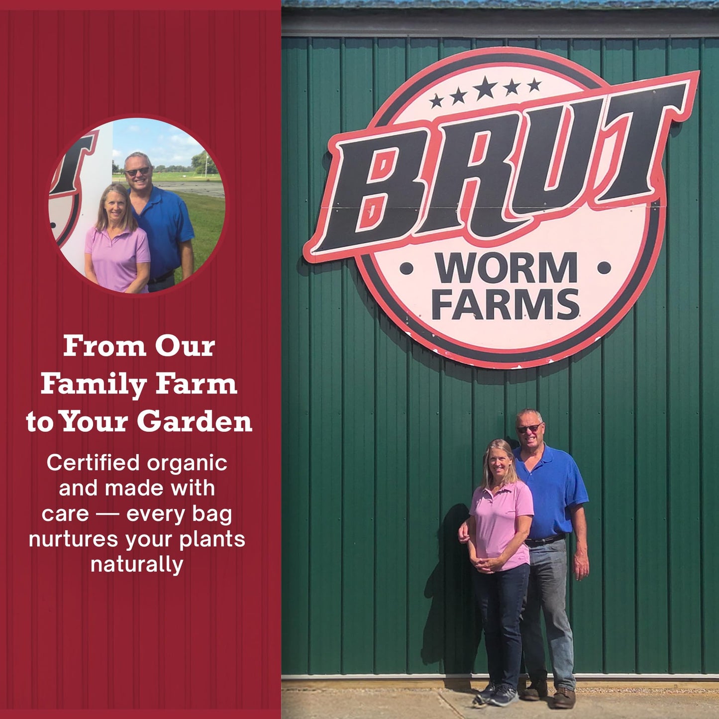 Brut Cow Compost – Nutrient-Rich Composted Cow Manure Organic Soil Amendment – 100% Pure Compost, Additive-Free Fertilizer for Vegetable Gardens, Flowers, Lawns & Indoor Plants – 10 Quart