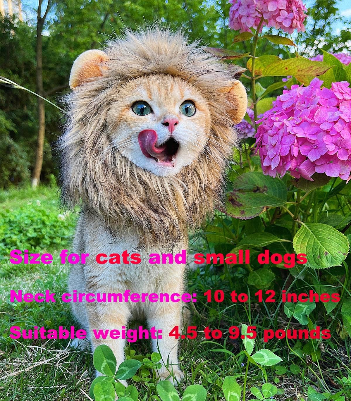 RosyLife Lion Mane Wig for Cat Costume Pet Adjustable Washable Comfortable Fancy Lion Hair Cat Clothes Dress for Halloween Christmas Easter Festival Party Activity (Brown)