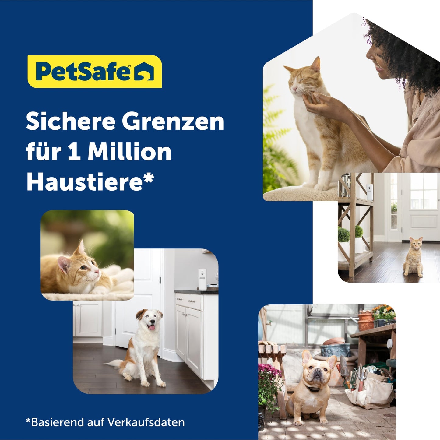 PetSafe Drinkwell Charcoal Replacement Filter for 360 Pet Fountains, Active Carbon Filter for Cats and Dogs