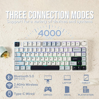 EPOMAKER AULA F75 Wireless Mechanical Gaming Keyboard, 75% Layout with Knob, Creamy Gasekt-Mount with Sound-Dampening, RGB, Hot-Swap, Bluetooth/2.4Ghz (Light Blue, Ice Vein Switch)