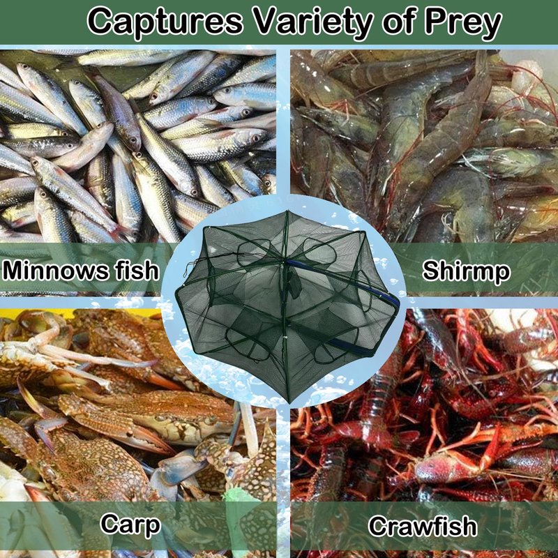 Foldable Fishing Bait Trap, Collapsible FishingTrap Net for Minnow, Crab, Crayfish, Shrimp - Easy Use 10 Hole Cast Trap Net Fishing Accessories, Catch More Fish and Crustaceans Effortlessly