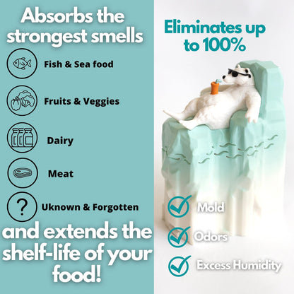 Joe Snow Fridge Baking Soda Deodorizer - Baking Soda Container | Baking Soda for Fridge and Freezer Odor Eliminator | Baking Soda Fridge Deodorizer