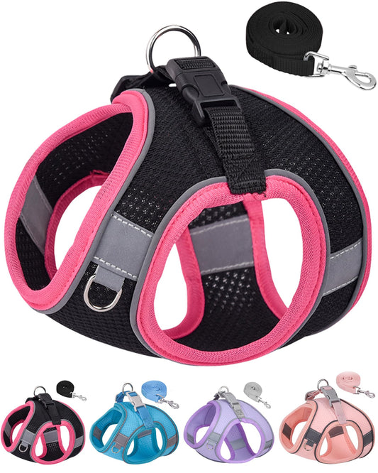 Aecllcea Dog Harness for Small Medium Sized Dog, Step in Puppy Harness and Leash Set Training Walkings. (Black, M)
