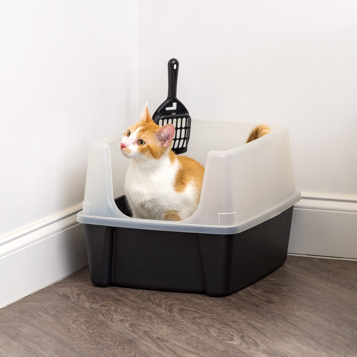IRIS USA Large Open Top Cat Litter Box with High Sides, Scatter Shield & Scoop, Black - Easy Clean Plastic Litter Pan for Indoor Cats, Kittens or Multicat Homes