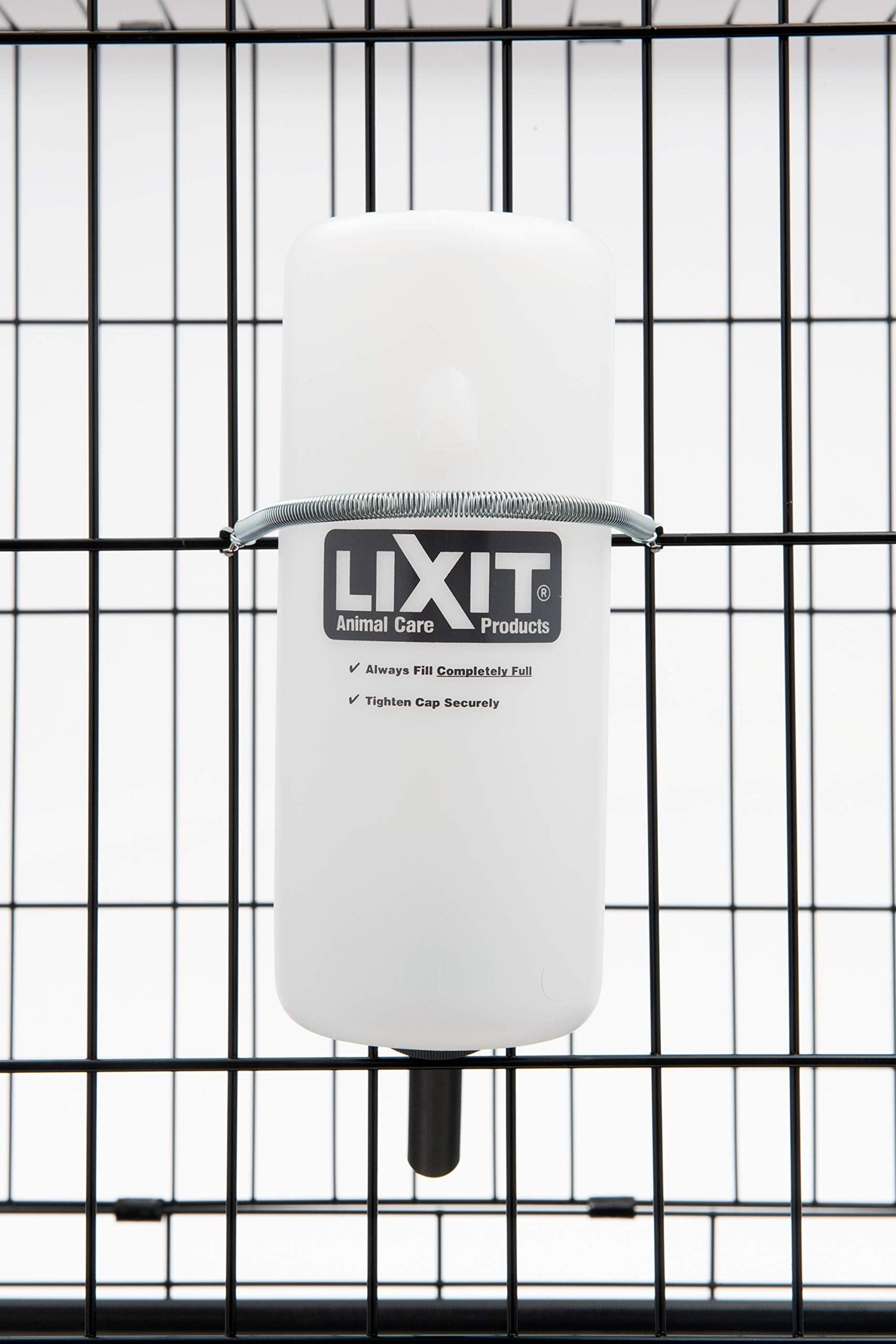 Lixit Wide Mouth Water Bottles for Large and Small Dogs (32oz Large Dog, White)