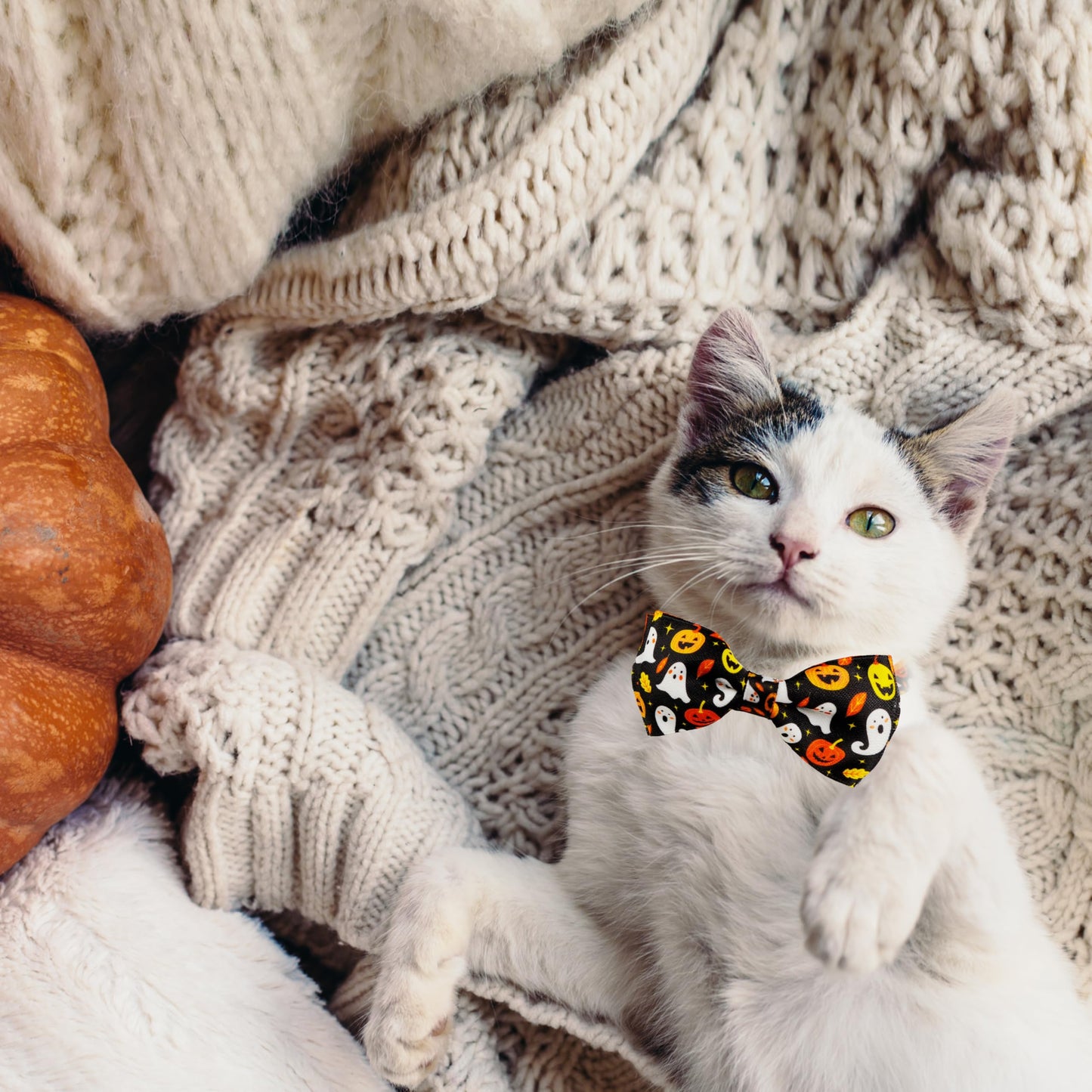 2 Pack Halloween Cat Collar with Bell, Holiday Kitty Kitten Skull and White Ghost Patterns for Boys Girls Males Female Cats