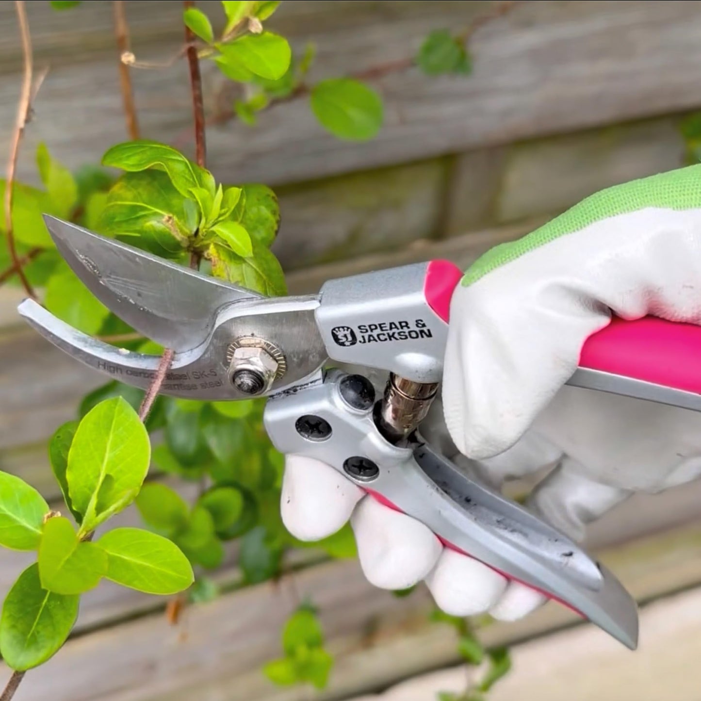 Spear & Jackson CUTTINGSET9P Colours Pink Bypass Secateurs and Snips Set