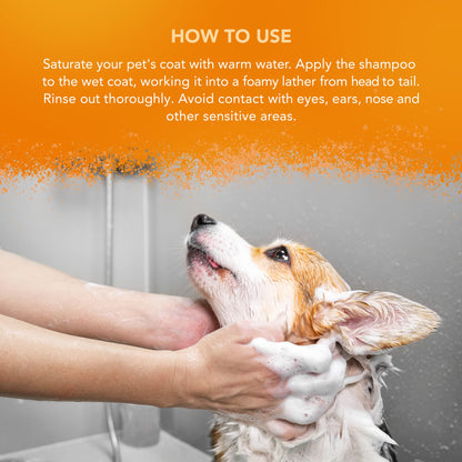 Wahl Mucky Puppy Shampoo, Dog Shampoo, Shampoo for Pets, Gentle Pet Friendly Formula, Sensitive Skin, Shampoo for Young Animals, Ready-to-Use, Remove Dirt.