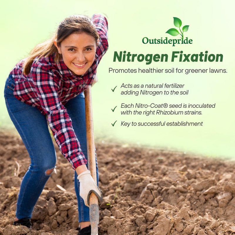 Outsidepride Perennial White Dutch Clover Seed - 40 lbs. Nitrocoated, Inoculated for Lawn Alternative, Erosion Control, Food Plots, Ground Cover, & Pasture Mixtures in USDA Zones 3-10
