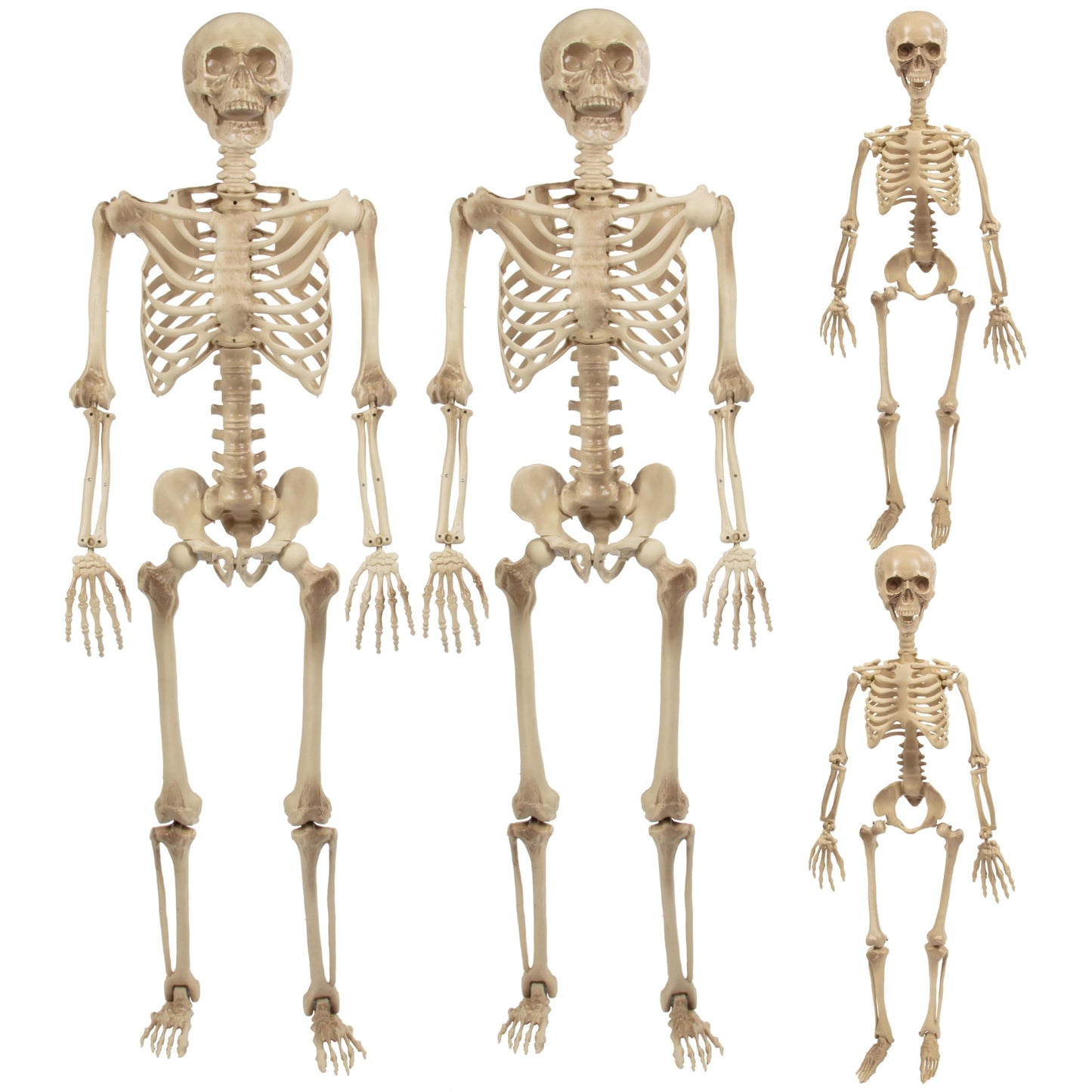 Posable Life Size Human Skeleton Family 4pk- 2 Adult (5'4") & 2 Children (2')- Halloween Prop Indoor Outdoor Decorations w Bending Articulated Bones