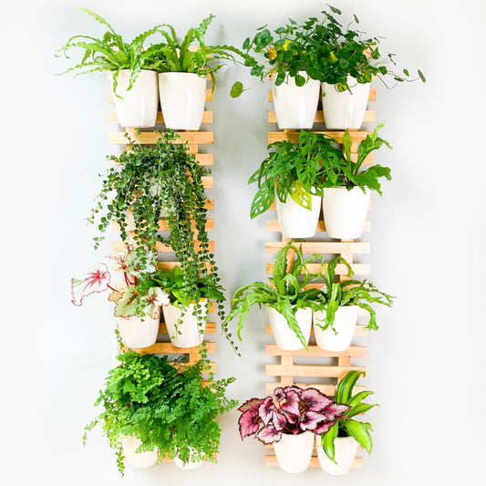 ShopLaLa Wall Planter (120cm, 2 Pack) Large Wooden Hanging Ladder Planters for Indoor Outdoor Plants, Wall Mount Plant Holders Succulents Orchids, Flower Pots, Vertical Garden Balcony Patio Home Decor