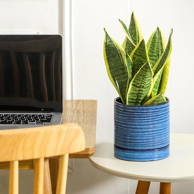 Hasense 6 Inch Plant Pot, Porcelain Planter Pot with Drainage Hole and Tray, Indoor/Outdoor Reactive Glazes Succulent Cactus Planter, Modern Decorative Gifts for Family and Friends, Blue