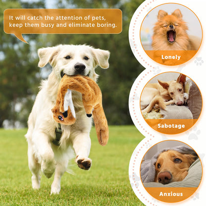 Newthinking No Stuffing Dog Toys, 5 Pack Squeaky Dog Toys Indestructible, Soft Plush Dog Toy for Small Medium Large Dogs