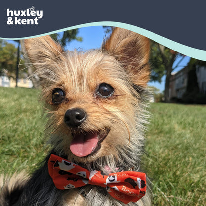 Huxley & Kent Pet Bow Tie for Dogs & Cats - Halloween Adjustable Hook & Loop Collar Accessory - Cute & Comfortable for Holidays & Celebrations - Ghostbusters, Extra-Large
