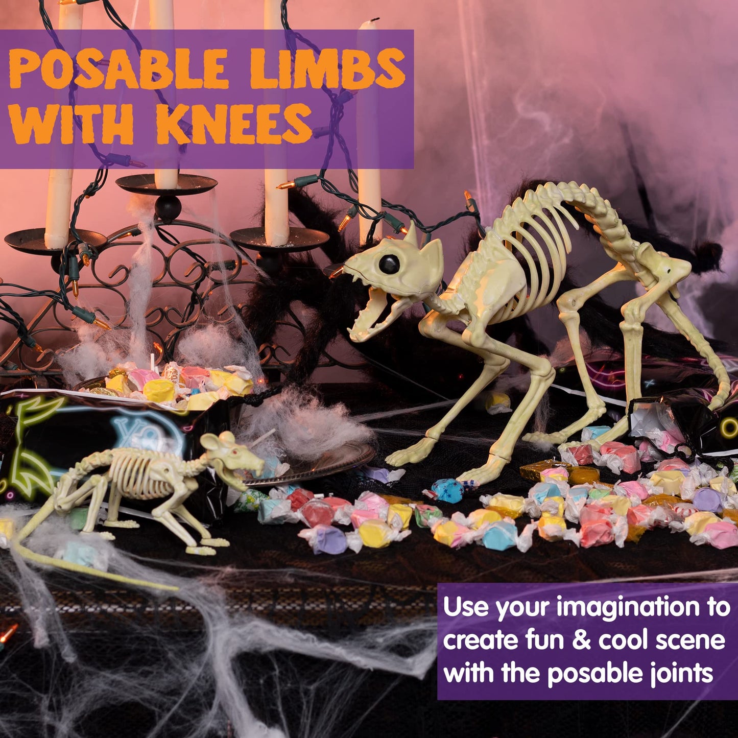 Skeleton Cat and Rat Skeleton for Halloween Decorations, Skeleton Animal Yard Decor and Reaper Bones Animals