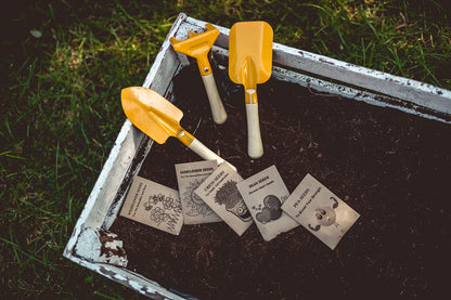 Kids Gardening Set, Grow Your own kit for Children, Wildflower Seeds, Sunflower Seeds, Birthday Gift for Kids, Garden Set for Kids, Seed Kits for Kids, Childrens Gardening Set, (Kids Gardening Set)