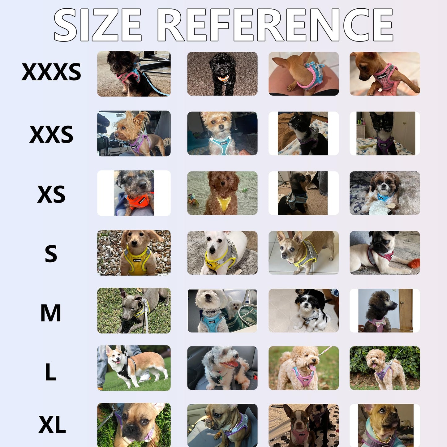 AIITLE Step in Dog Harness and Leash Set - Summer No Pull Escape Proof Vest Harnesses with Soft Mesh and Reflective Bands, Adjustable Pet Outdoor Harnesses for Small and Medium Dogs Royal Blue M