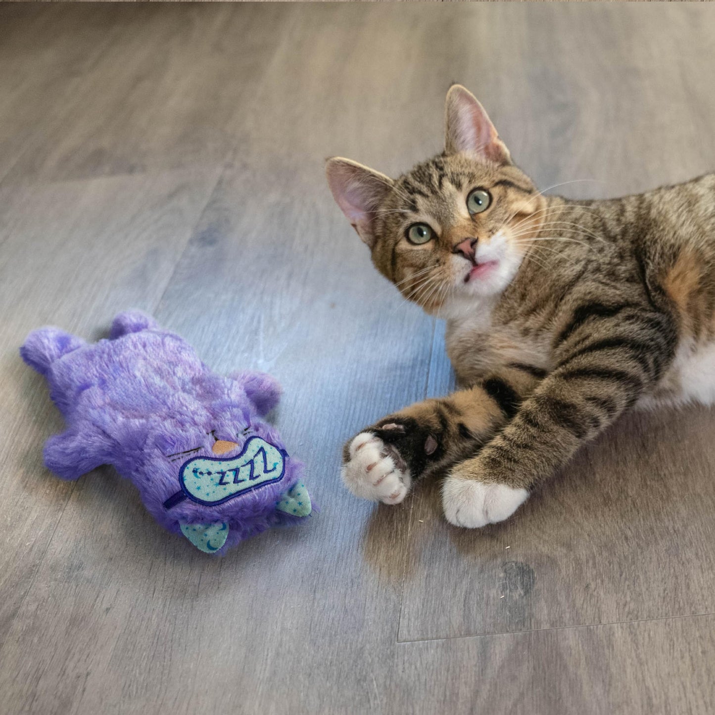 Catstages Purr Pillow Kitty Calming Cat Toy with Touch-Activated Purring and Soft Plush, Purple - Helps Reduce Stress & Provide Anxiety Relief for Cats, X-Large