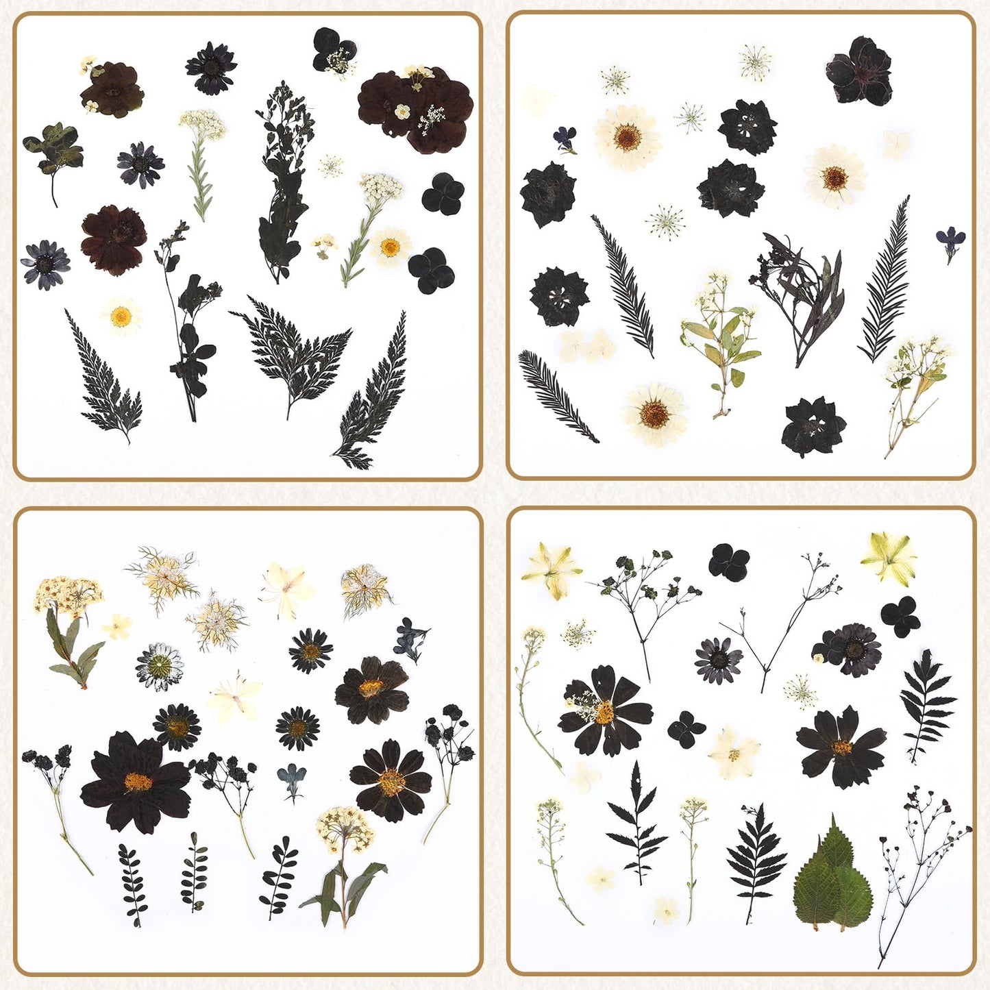 Augshy Black Dried Pressed Flowers, 120 Pcs Halloween Dried Flowers for Resin Molds Real Pressed Flowers for Crafts DIY Jewelry Molds, Scrapbooking, Candle, Soap Making