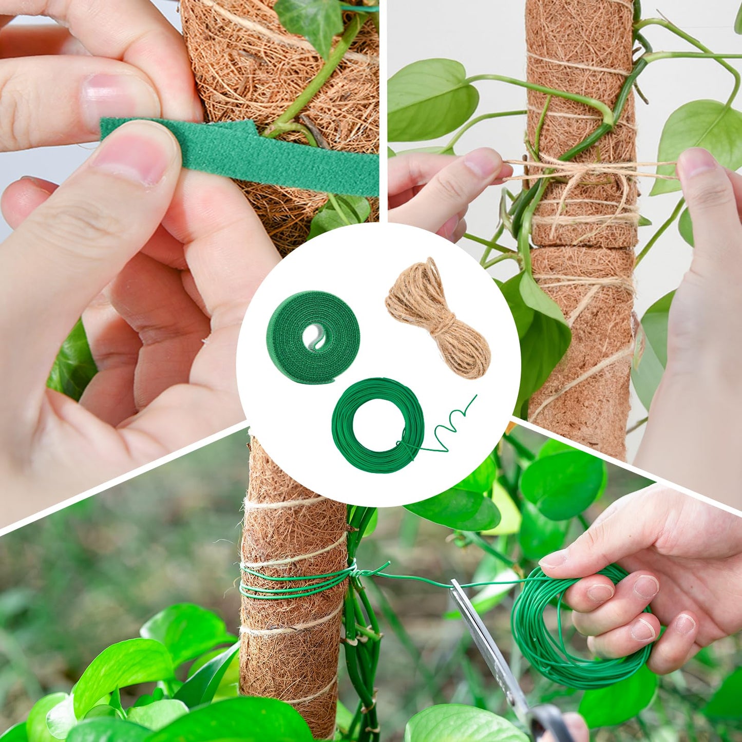 49 inch/125 cm Tall Moss Pole for Plants, SproutMaven 4 x 16 Inch/41 cm Monstera Moss Pole kit for Indoor Outdoor Climbing Plants Lianas to Grow Upwards