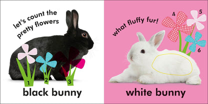 Baby Touch and Feel: Bunny