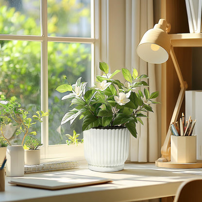 T4U 6 Inch Self Watering Pots for Indoor Plants, 6 Pack White Plastic Flower Pots for All House Plants, Flowers, African Violets