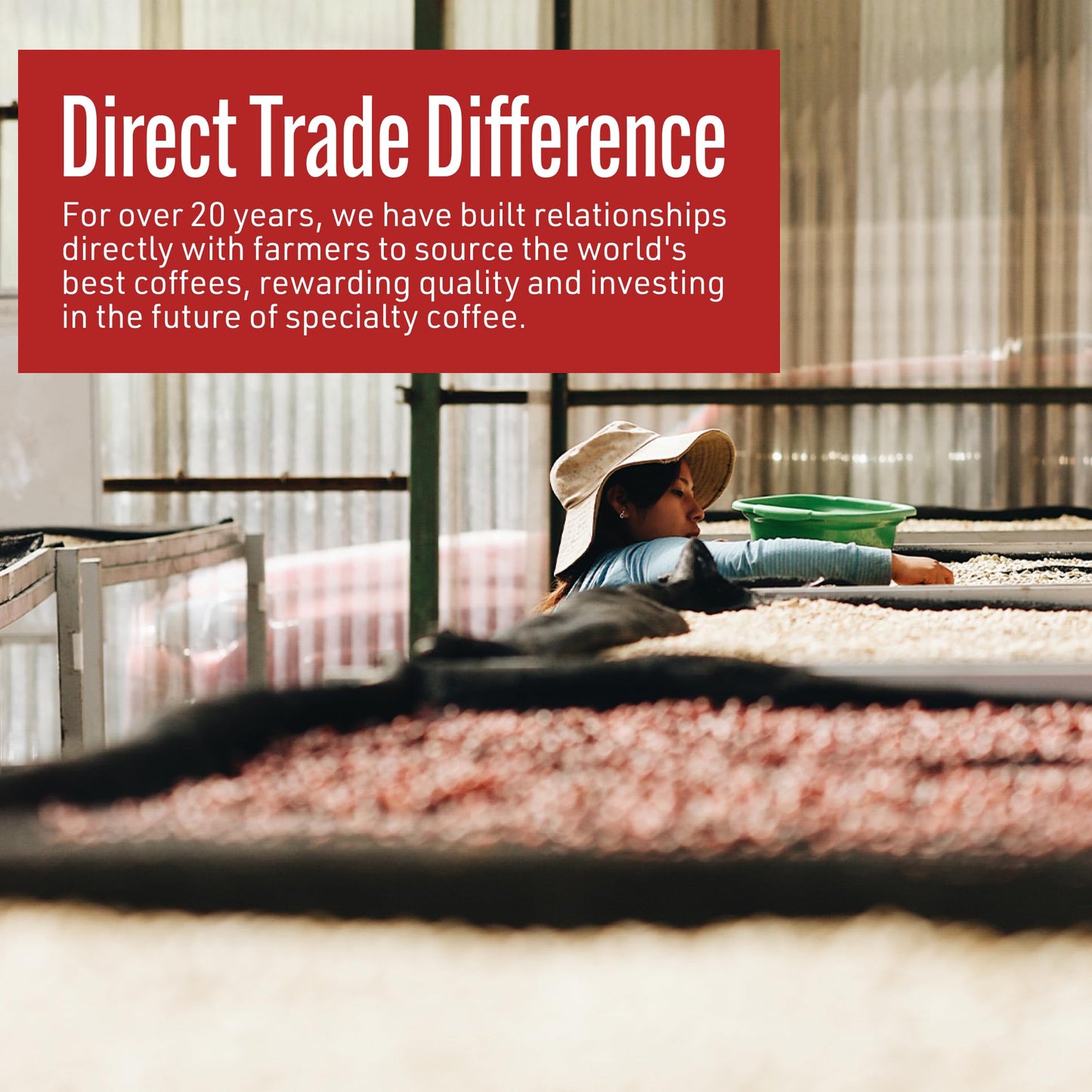 Intelligentsia Coffee, Light Roast Ground Coffee - House Blend 12 Ounce Bag