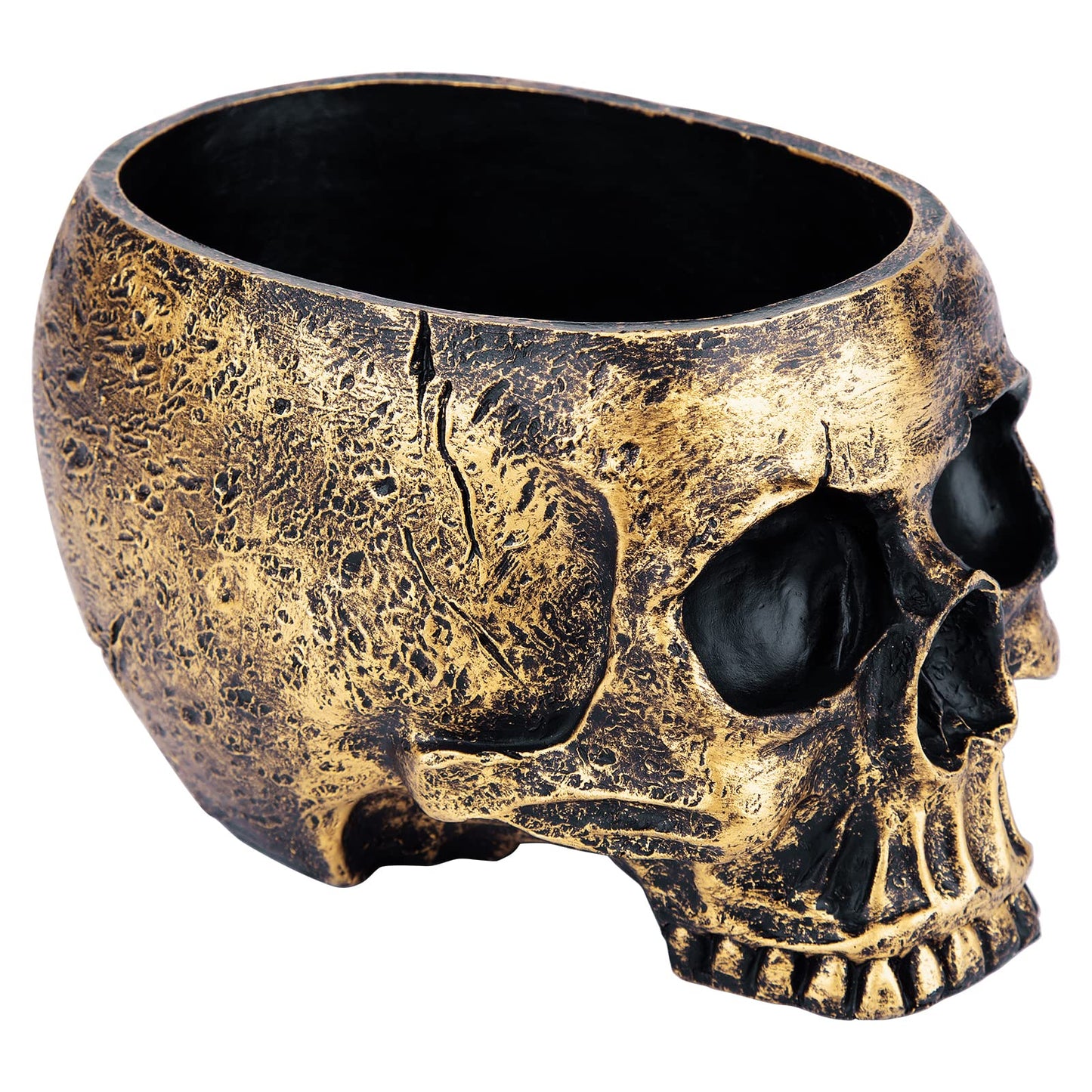 Skull planter , Resin Skull Head Flower Succulent Cactus Planter Pots , Small Object Containers Keys Sugar Candy Bowl , for Home Office Desk Decorations Halloween Scene Statue Sculpture Decorations