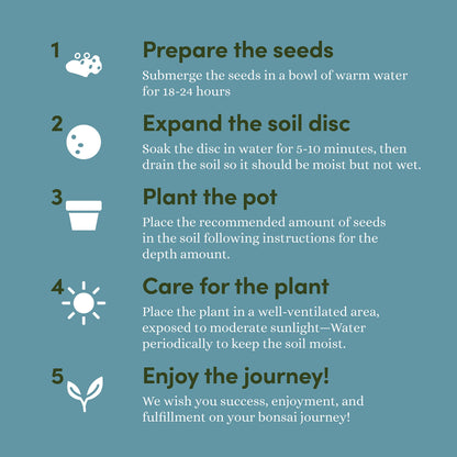 Bonsai Starter Kit - Gardening Easter Gift for Women & Men - Bonsai Tree Growing Garden Crafts Hobby Kits for Adults, Unique DIY Hobbies for Plant Lovers - Unusual Christmas Gifts Ideas