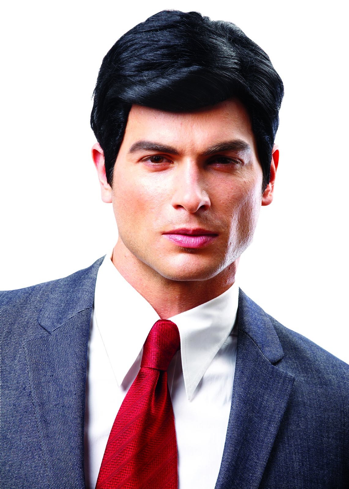Costume Culture mens Real Man costume wigs, Black, One Size US