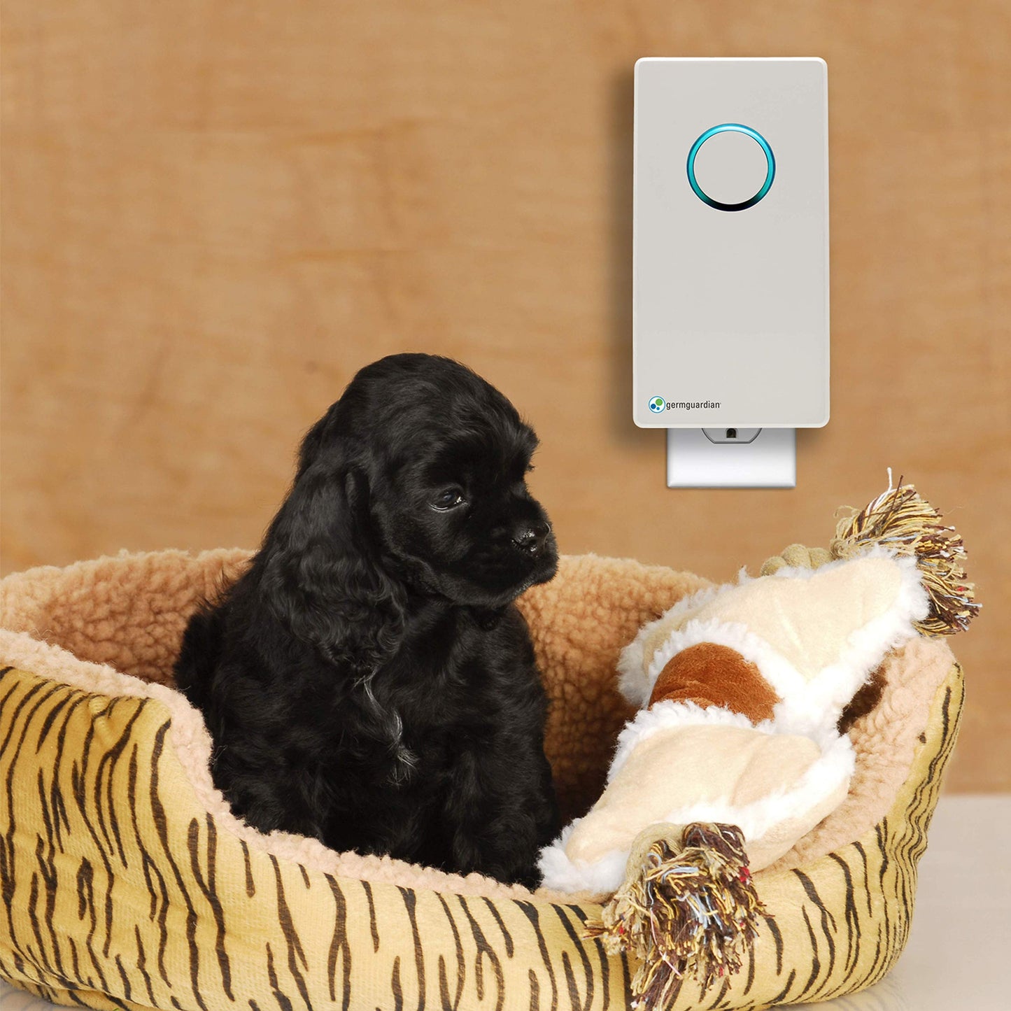 Germ Guardian GG1100W 7” Pluggable Small Air Purifier, Small Room Wall Air Sanitizer, Freshens Air, UV-C Light Kills Germs, Reduces Odors from Pets, Cooking, Mold, GermGuardian, 1-Yr Wty (White)