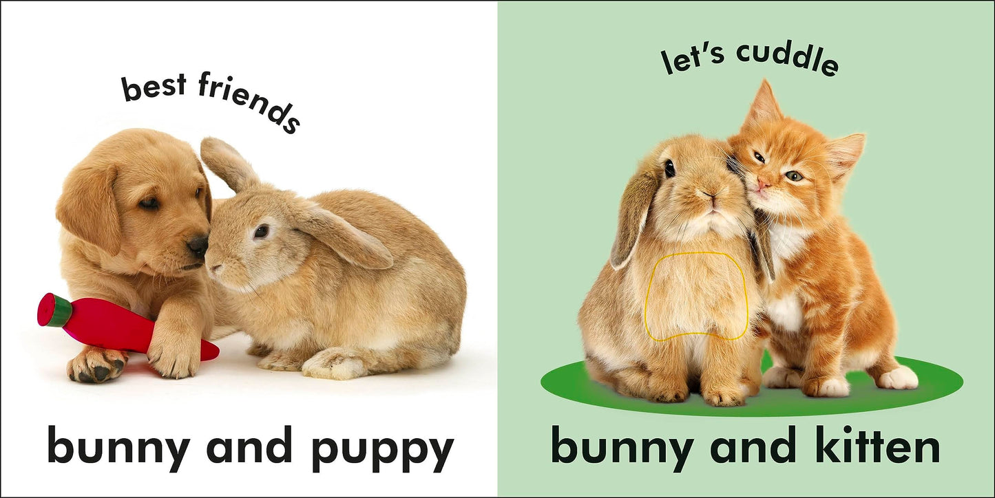 Baby Touch and Feel: Bunny