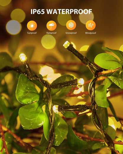 Brightown 2 Pack Solar String Lights for Outside, 92Ft 240 LED Solar Lights Outdoor Waterproof with 8 Modes, Solar Outdoor String Light for Patio Yard Tree Garden Party Decorations, Warm White